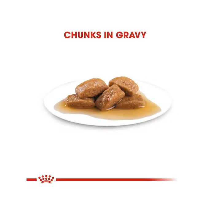 طعام رطب صلصة للكلاب الكبيرة الحجم، 10×140غ من ROYAL