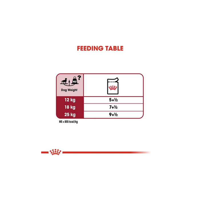 ROYAL Medium Gravy Wet Food for Dogs, 10 x 140g