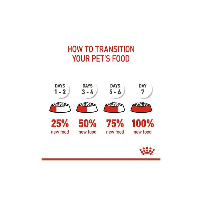 طعام جاف للقطط من عمر 4 أشهر، 400غ من ROYAL