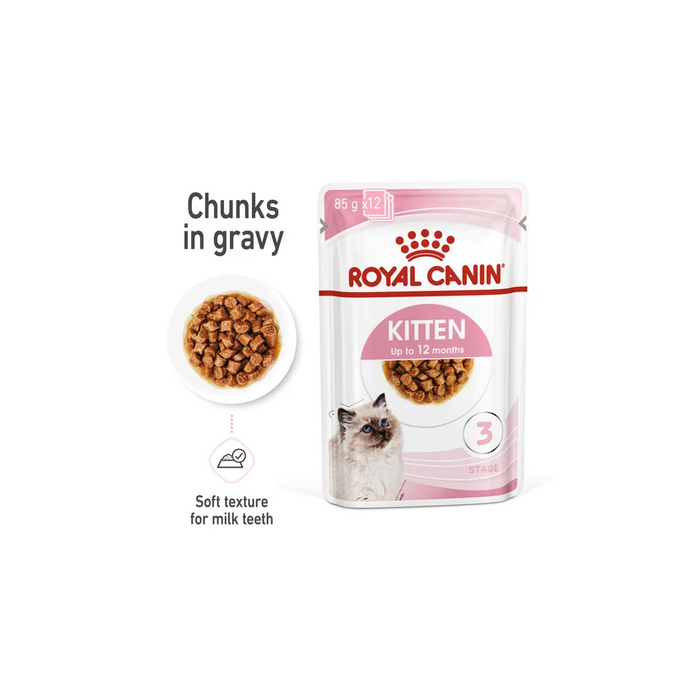 طعام رطب صلصة للقطط الصغيرة، من ROYAL
