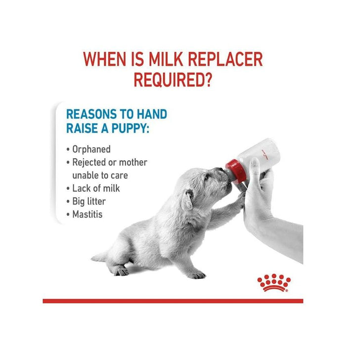 بديل حليب للجراء، 400غ من ROYAL