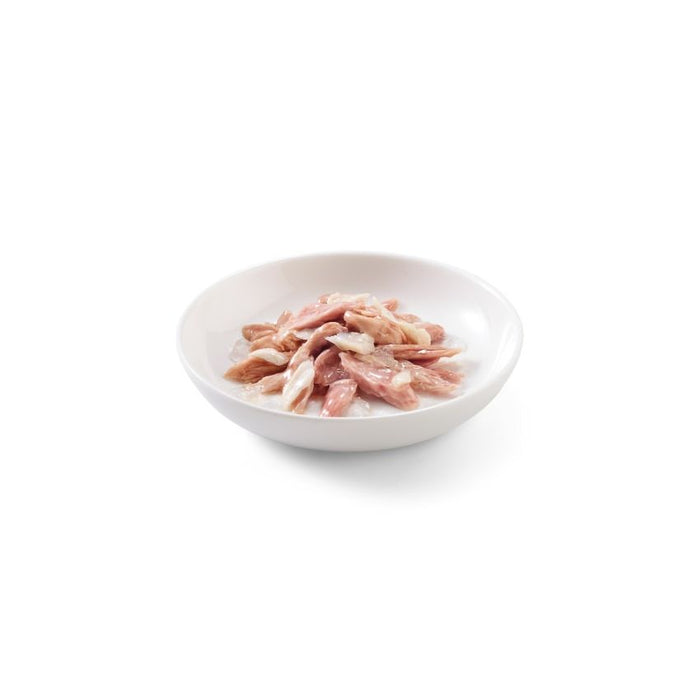 SCHESIR كيس طعام للقطط تونة دوراد 20X85G في جلي بشرائح حقيقية