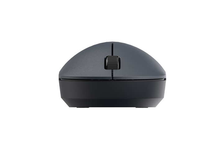 Xiaomi Wireless Mouse Lite 2