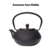 Cast Iron Kettle and teapot Bashiti Hardware
